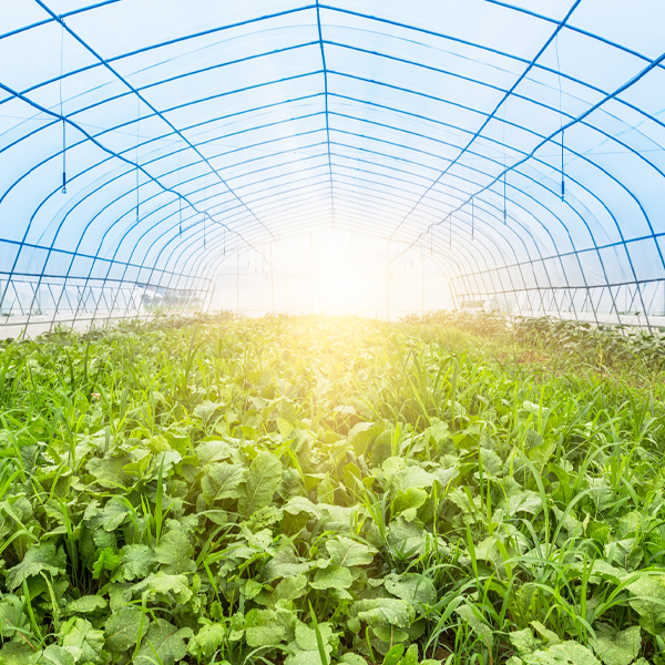 Woven Greenhouse Covers J&M Industries, Inc.